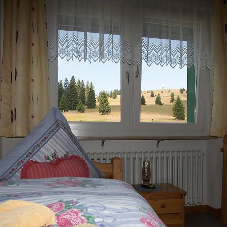 Berggasthof-Pension Todtnauer Huette Feldberg (Baden-Wurttemberg) Ngoại thất bức ảnh