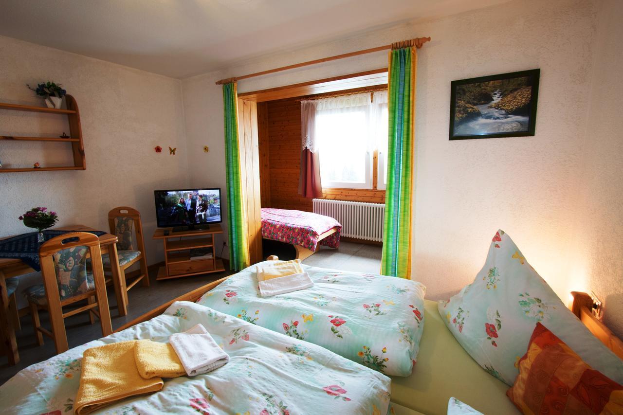 Berggasthof-Pension Todtnauer Huette Feldberg (Baden-Wurttemberg) Phòng bức ảnh