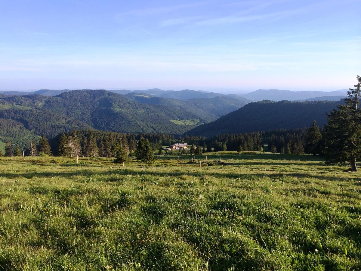 Berggasthof-Pension Todtnauer Huette Feldberg (Baden-Wurttemberg) Ngoại thất bức ảnh