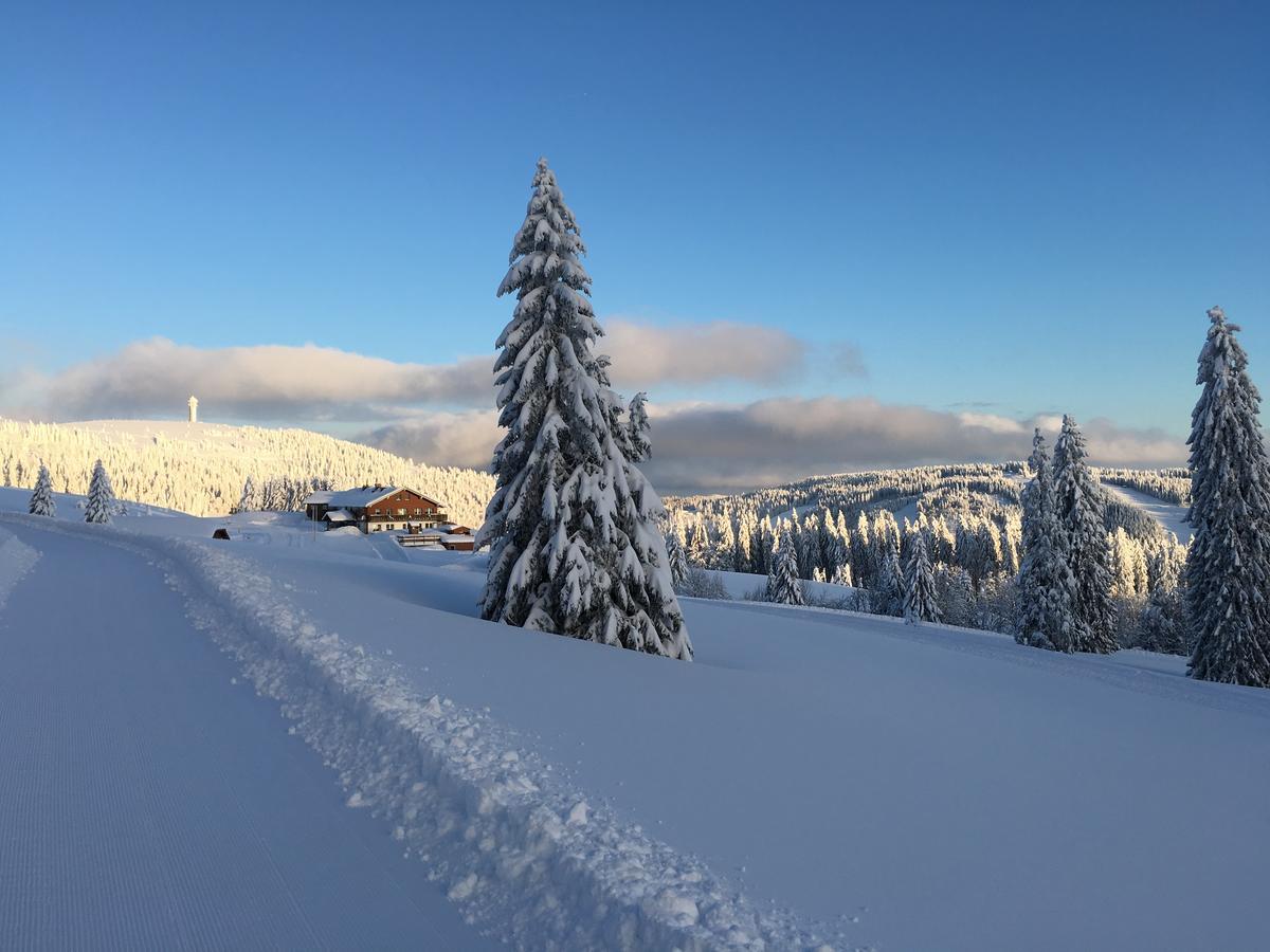 Berggasthof-Pension Todtnauer Huette Feldberg (Baden-Wurttemberg) Ngoại thất bức ảnh