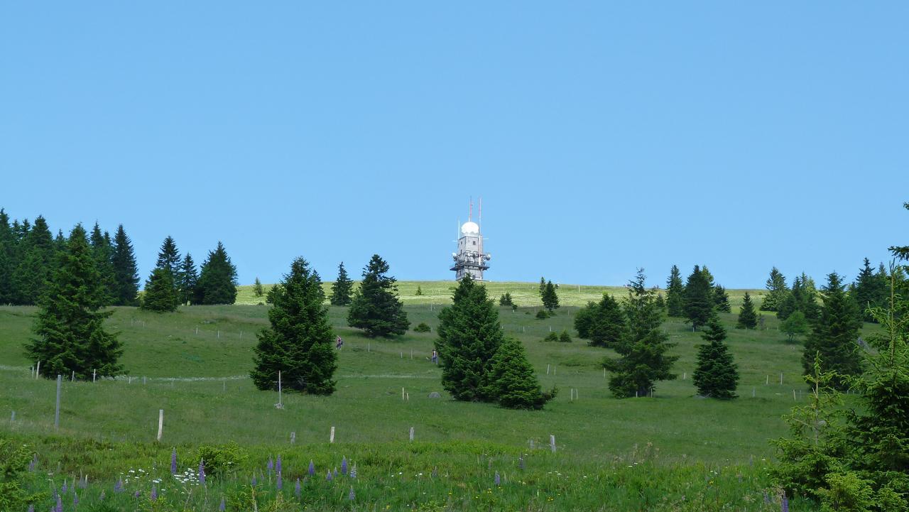 Berggasthof-Pension Todtnauer Huette Feldberg (Baden-Wurttemberg) Ngoại thất bức ảnh