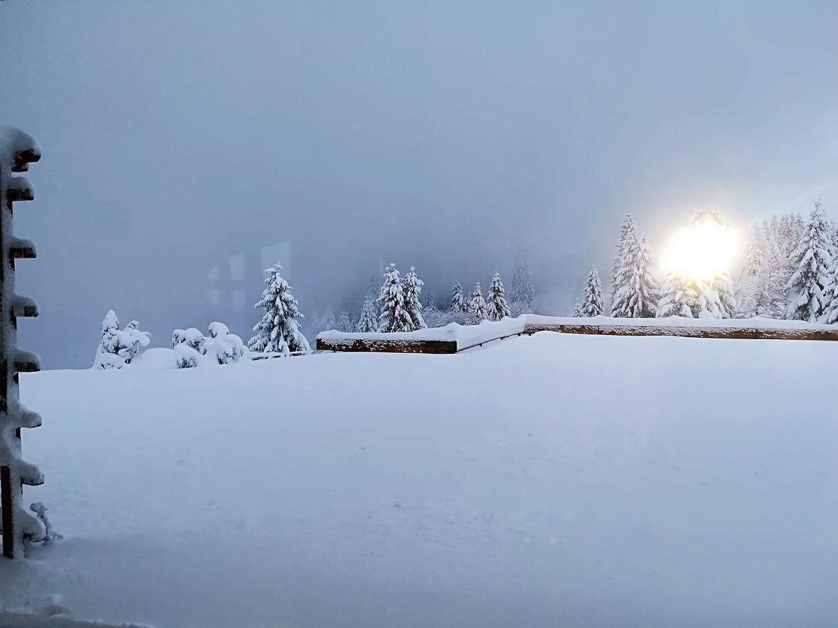 Berggasthof-Pension Todtnauer Huette Feldberg (Baden-Wurttemberg) Ngoại thất bức ảnh