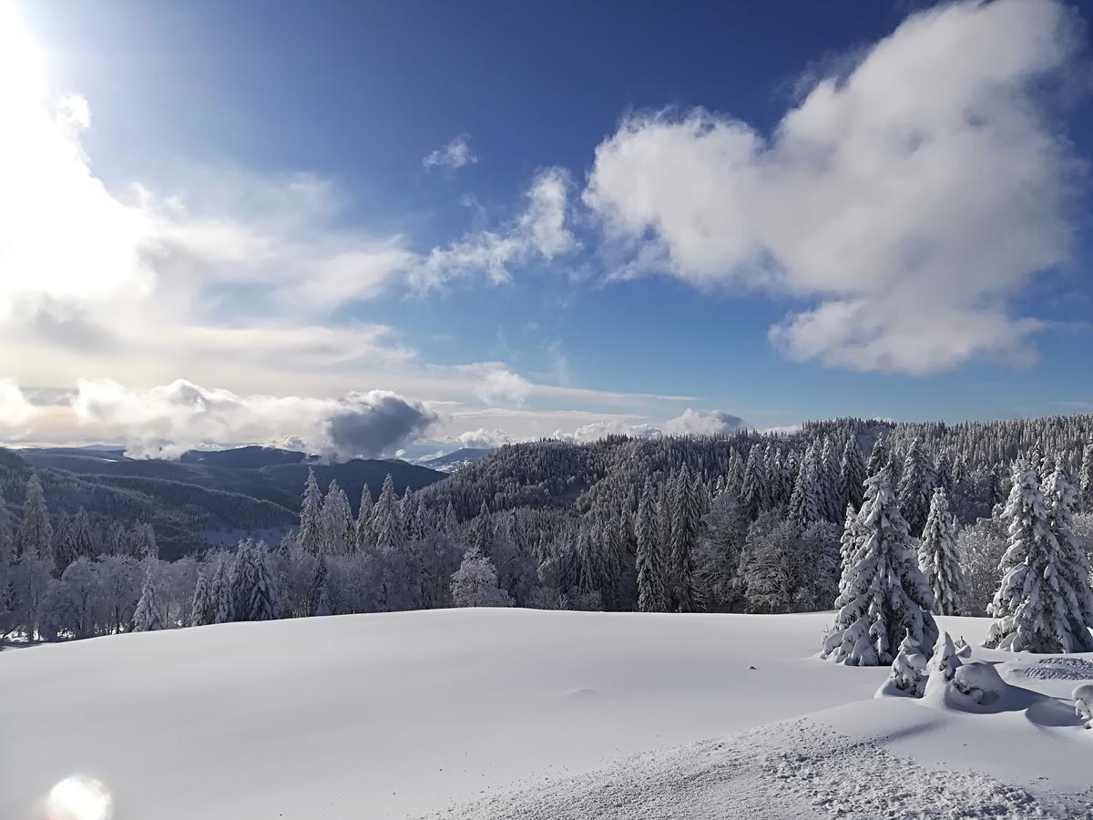 Berggasthof-Pension Todtnauer Huette Feldberg (Baden-Wurttemberg) Ngoại thất bức ảnh